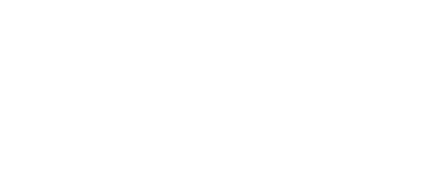 Nightlife Survey